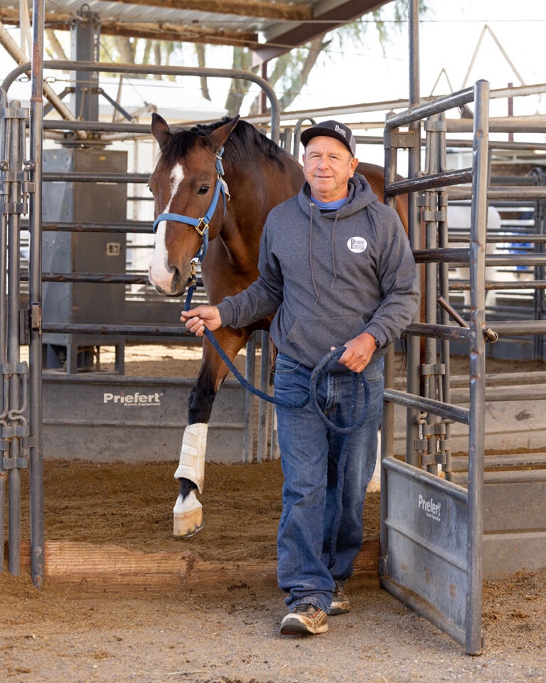 Meet Our Premier Equine Rehabilitation Team